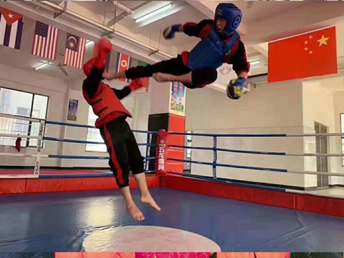 少林文武学校教学模式