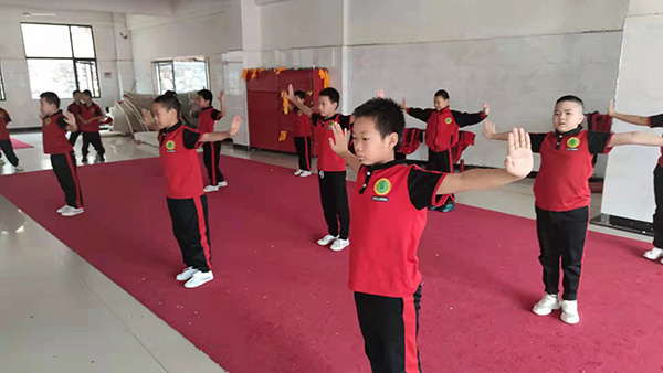 少林武术学校哪家好？想学到正宗的武术应该去哪？