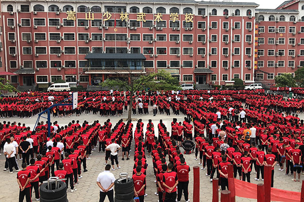 2024年嵩山少林武术学校学费多少钱，具体收费标准是怎样的？